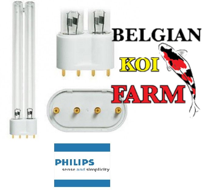 Kneden Perforeren Schuine streep UVC PL-L lamp Philips 55W - Belgian Koi Farm NL