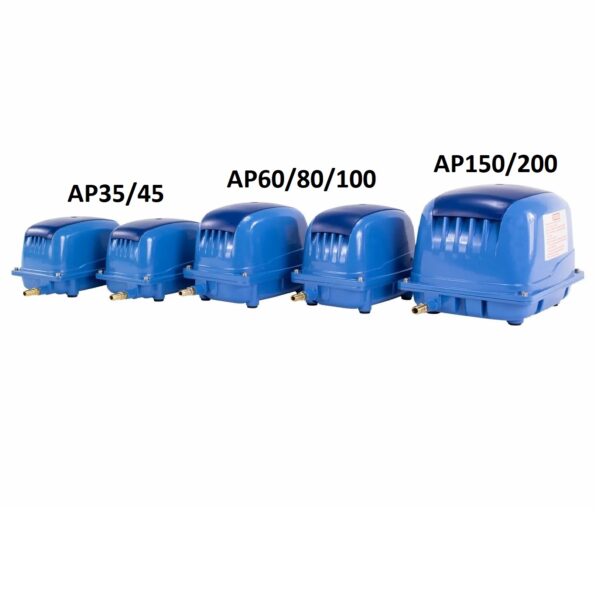 Pompe à air AquaForte AP-200