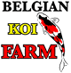 Belgian Koi Farm FR